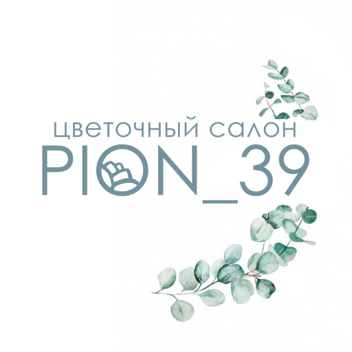 Pion_39