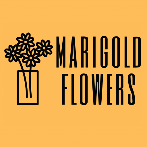 MARIGOLD FLOWERS