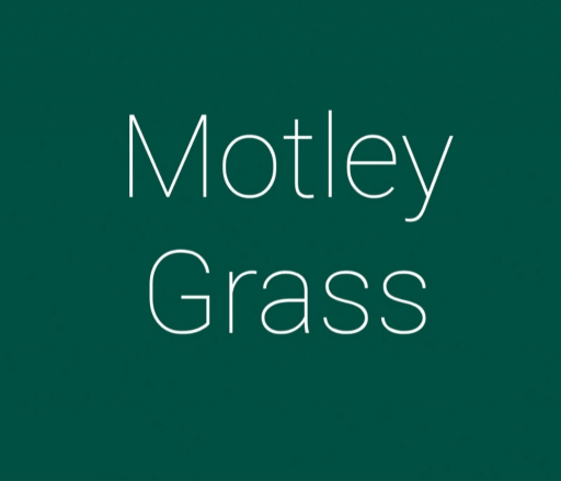 Motley Grass