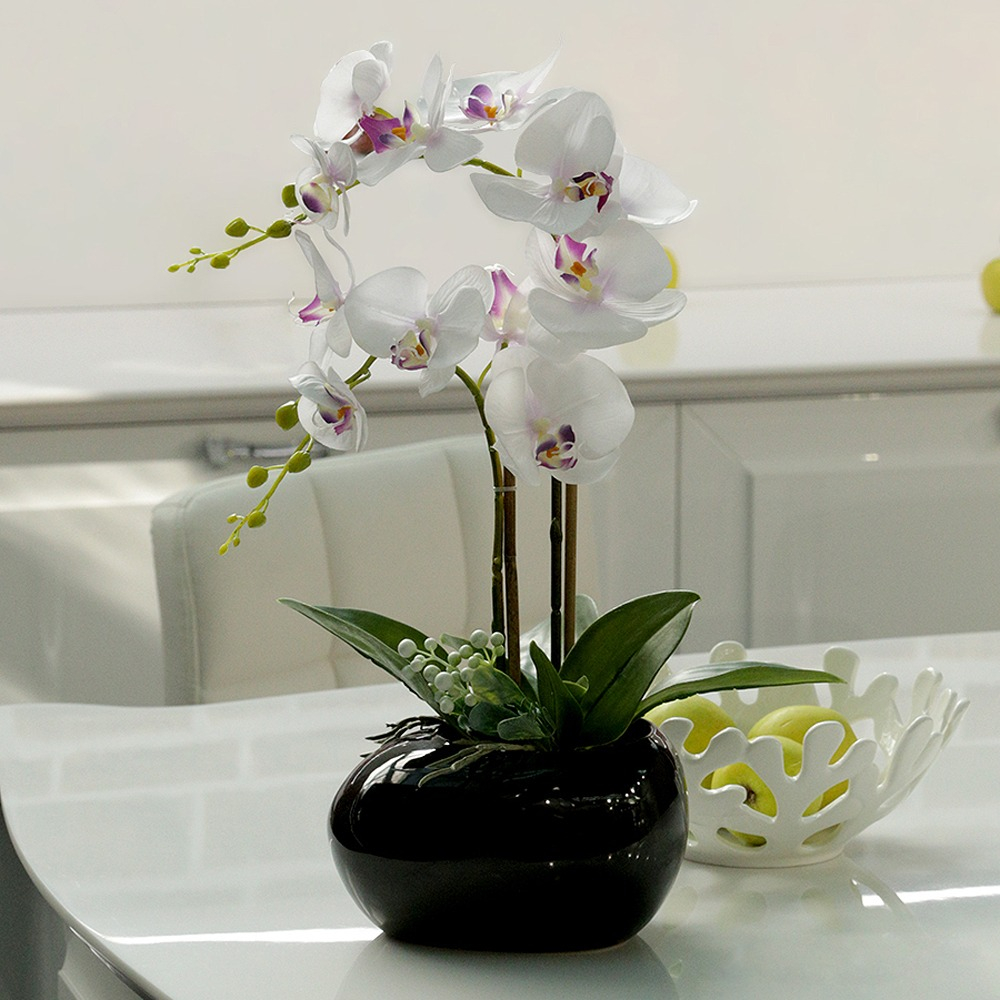 Орхидея фаленопсис 2-ствольная - купить с доставкой за 3 990 ₽ в Москве от  магазина «Цветочный рынок»