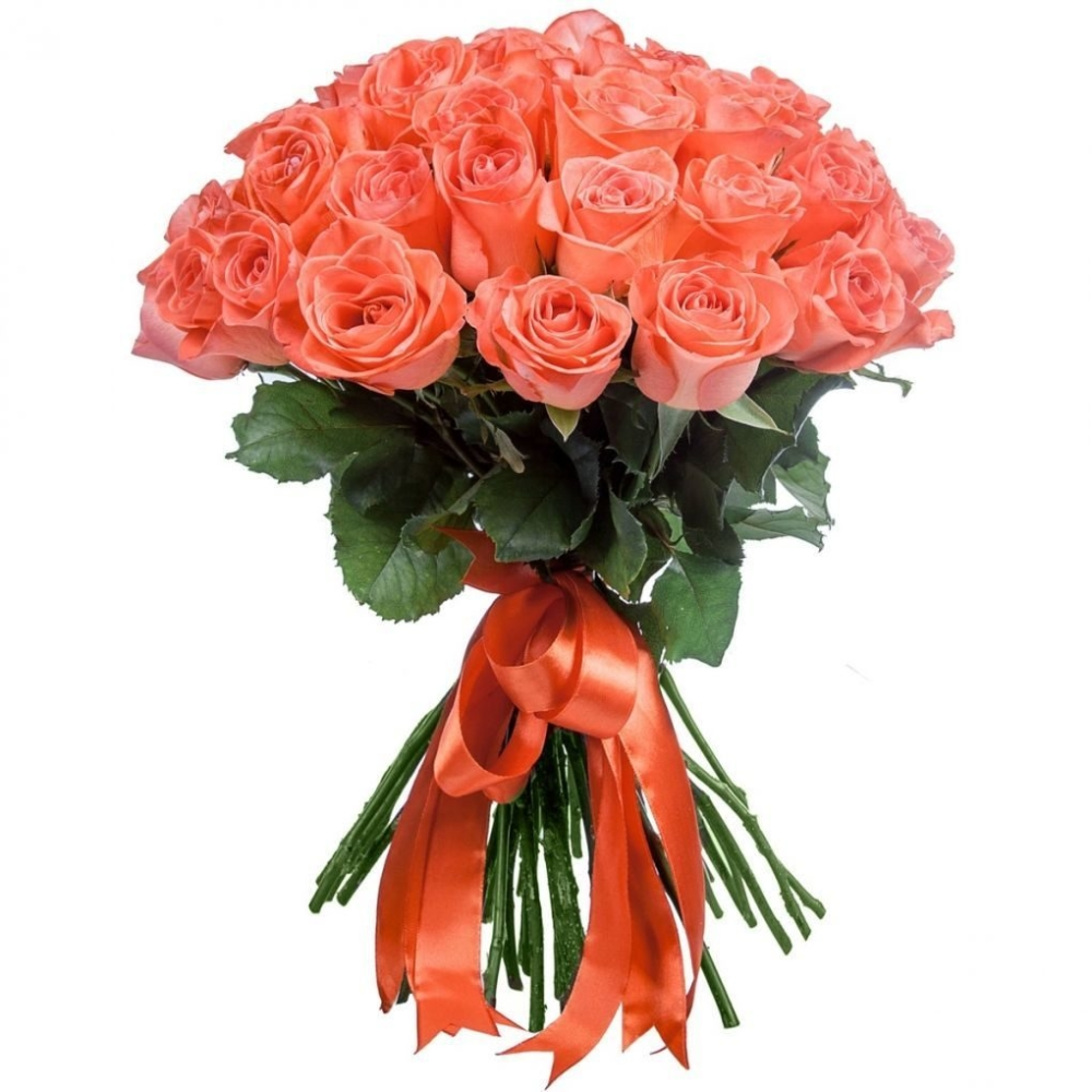 Алая роза омск доставка цветов санкт петербурге дешево